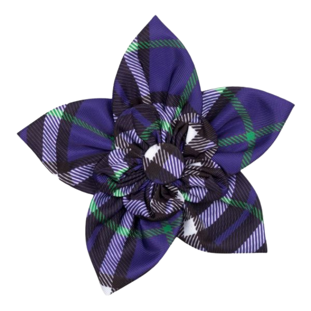 DOG-COLLAR-SLIDER-FLOWER-PURPLE-BIAS-PLAID