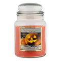 18Oz Jar Scented Candle Pumpkin Spice | Poundstretcher 343857