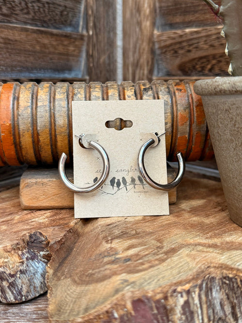 30mm silver stainless steel hoop earrings with hinged clasp, on card