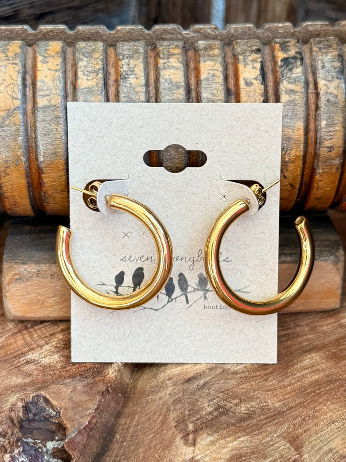 Gold-plated hoop earrings, thick round hoops shown as a matching pair on a card