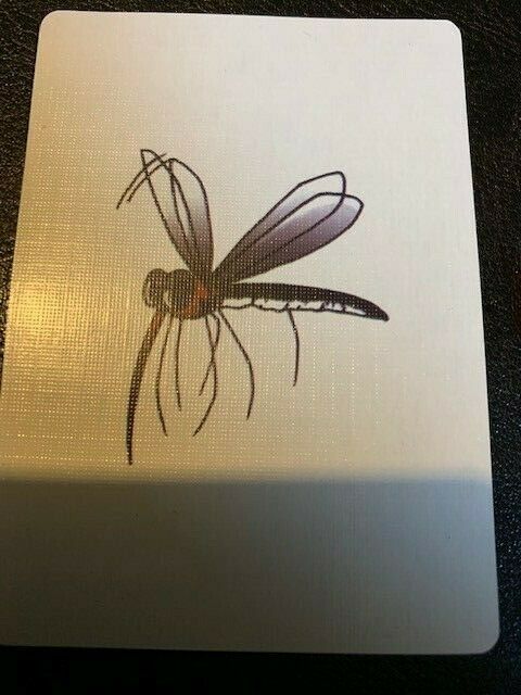 Bashful Mosquito - Card Packet Magic Trick - Fun To Do! - Gets Great Reactions!