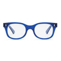 Bixby Monir Blues Readers
