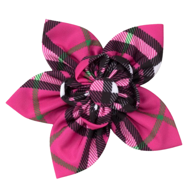 DOG-COLLAR-SLIDER-FLOWER-PINK-BIAS-PLAID