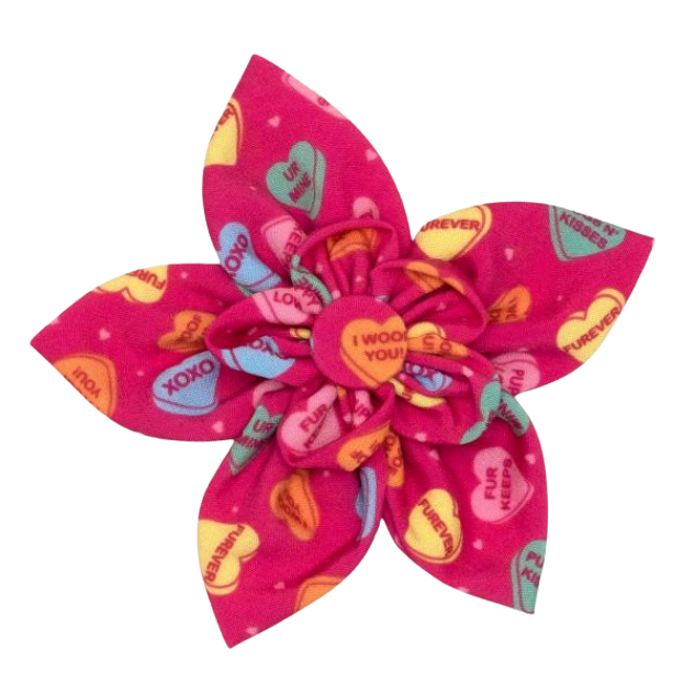 DOG-COLLAR-SLIDER-FLOWER-CANDY-HEARTS-VALENTINE
