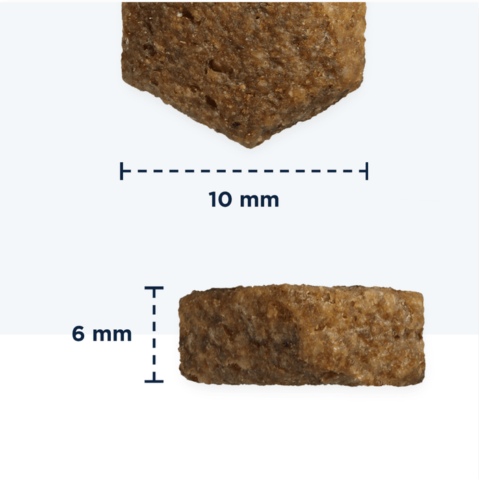 Eukanuba Caring Small Senior Dry Food Chicken info graphic