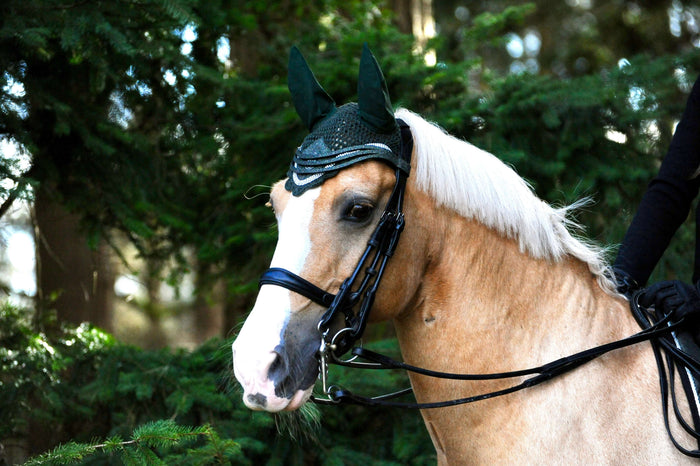 Jade Green Saddle Pad Set