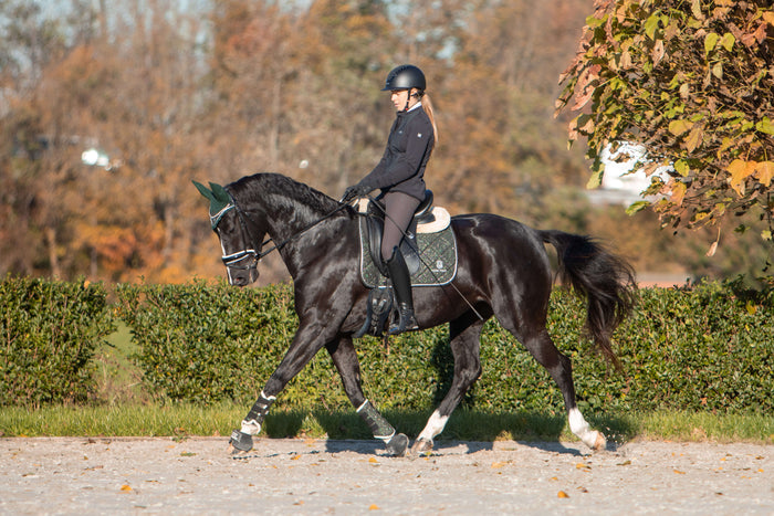 Jade Green Saddle Pad Set