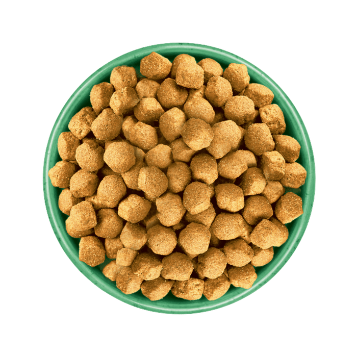 White background with a green bowl pictured filled with dog food kibbles.