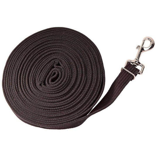 Black lunge rein with silver clip