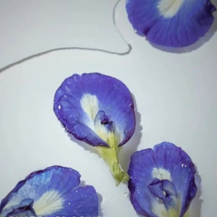 Relax Butterfly Pea Herbal Tea – Caffeine Free - 25g
