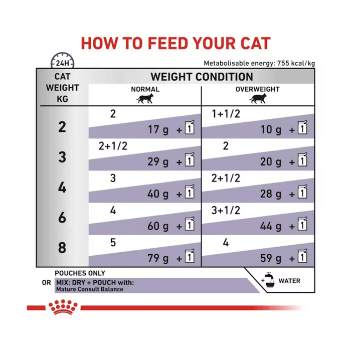 ROYAL CANIN® Feline Mature Balance Loaf 48x 85g
