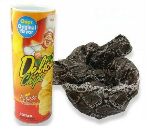 Snake in a Snack Chip Can - An Old Favorite - Very Funny - Snake in a Chip Can!
