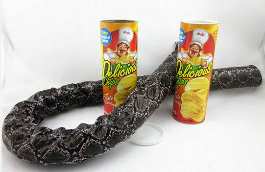 Snake in a Snack Chip Can - An Old Favorite - Very Funny - Snake in a Chip Can!
