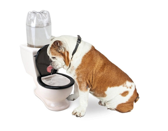 Toilet Water Dish - For Dogs, Cats and More! - The Pet Toilet Water Dish