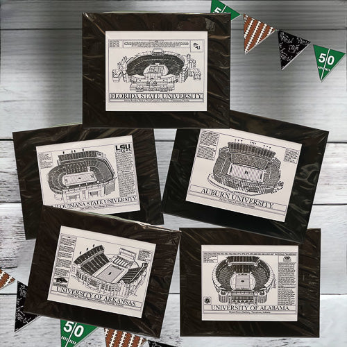University Football Stadium Art Print