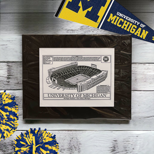 University Football Stadium Art Print