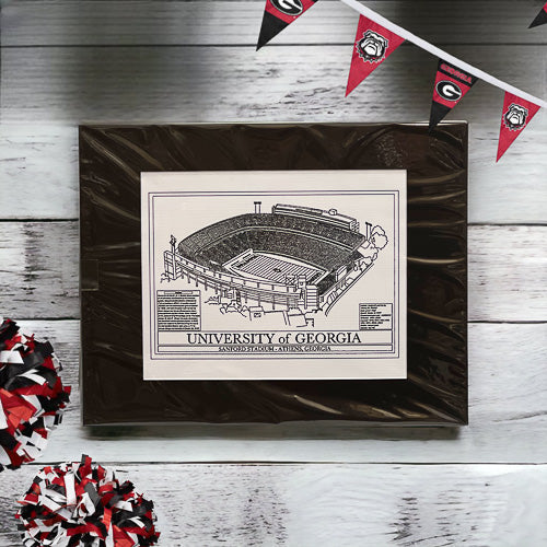University Football Stadium Art Print