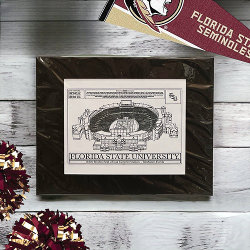 University Football Stadium Art Print