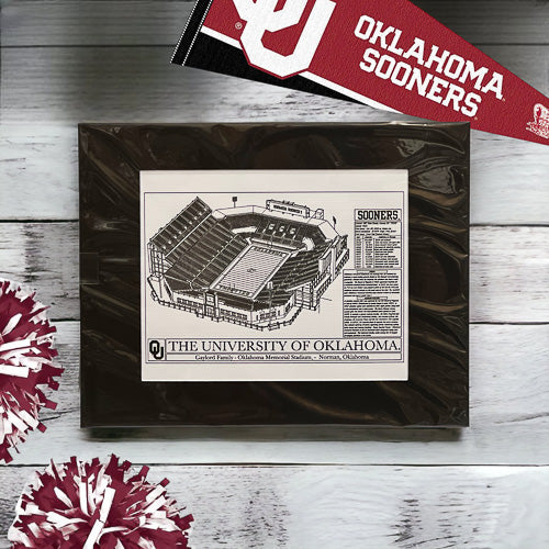 University Football Stadium Art Print