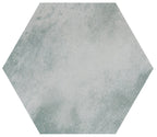 Hexagonal tile on a white background